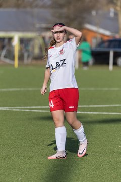 Bild 205 - wBJ SV Wahlstedt - SV Henstedt Ulzburg : Ergebnis: 0:1
